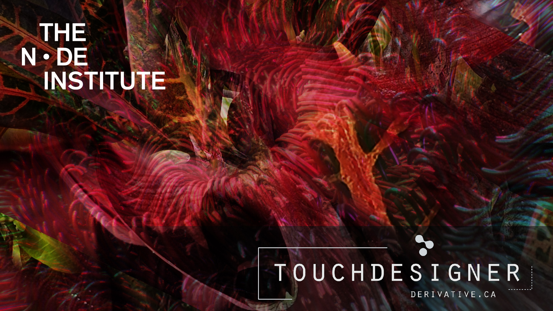 SS24 - TD - 11 - chainGPU for Physical Simulation